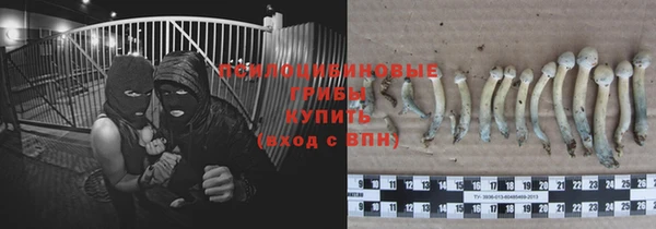 мяу мяу мука Осташков