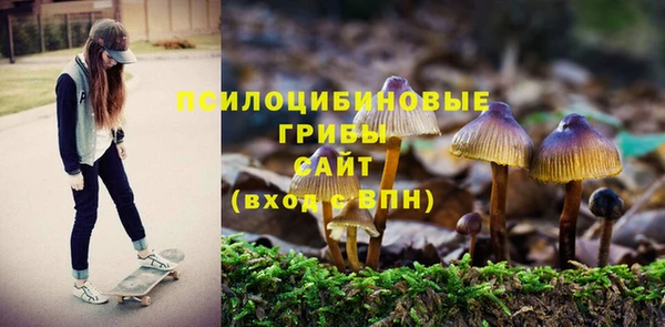 мяу мяу мука Осташков