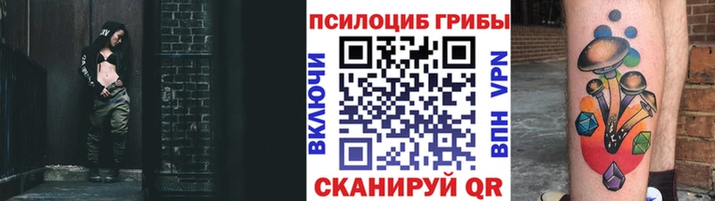 Купить  Дигора  Псилоцибиновые грибы ЛСД 