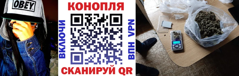 Купить закладки  Дигора  Шишки марихуана план 